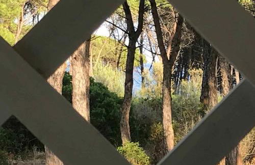 Villetta sul mare - Foto 12