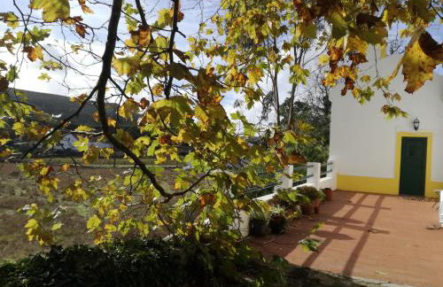 Montejunto Villas - Casa do Plátano - Foto 20