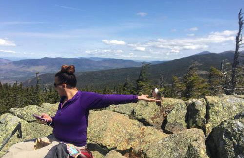 Private Cabin on 1.7 acres w/ Fireplace White Mtns - Photo 41