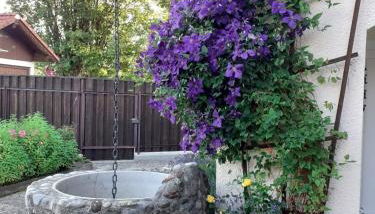 Ferienwohnung Feßler - Foto 2