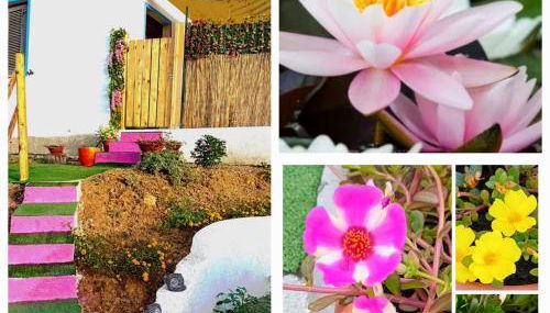 La Conchiglietta blu - Foto 3, Garden, Garden view