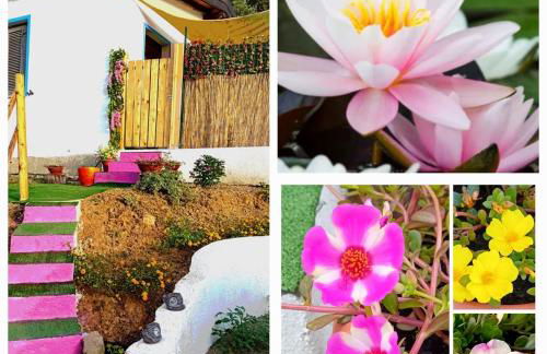 La Conchiglietta blu - Foto 3