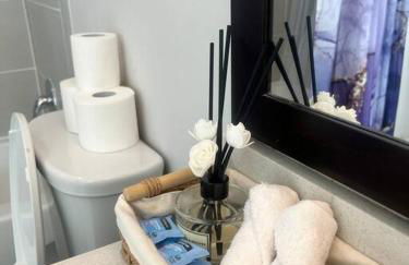 Exquisite Sky View of Buckhead Atlanta - Foto 19