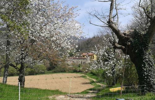 Podere Groppini - Foto 54