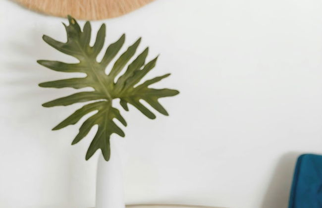 Wellborn Hotel Downtown, Sonder by Marriott Bonvoy - Foto 5