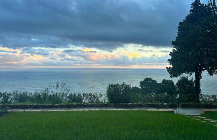 Pini, a Paradise Oasis - Foto 6