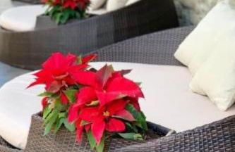 Holiday Home mit Wasserblick by Interhome - Foto 11