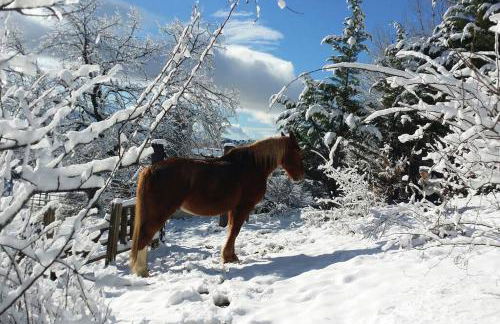 Via Fera, con vistas a la naturaleza - Foto 28