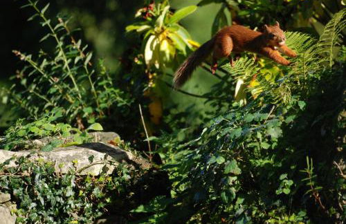 Bonawe House Holiday Cottages - Foto 32