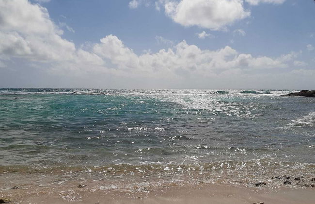 Marco Polo - Photo 34