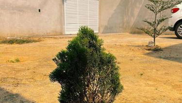 Residência dos Mariotti - Foto 2