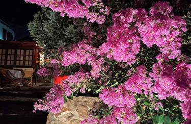 Panthea Cottage - Foto 56