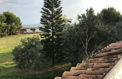 Viva la Vida Denia - Foto 37