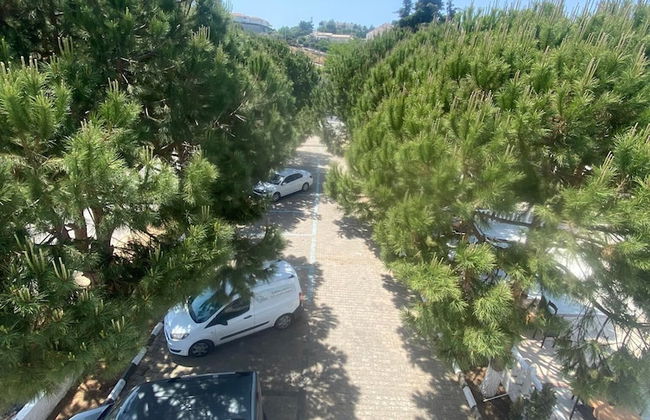 The Palm Club Apart Otel - Photo 65