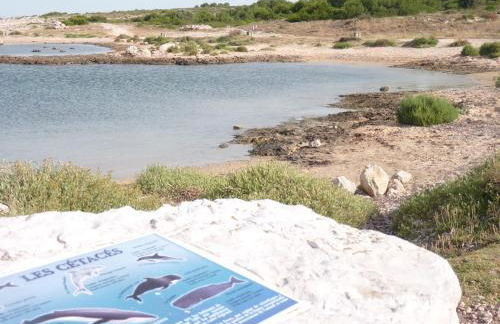 La Villa du Petit Port - Foto 60