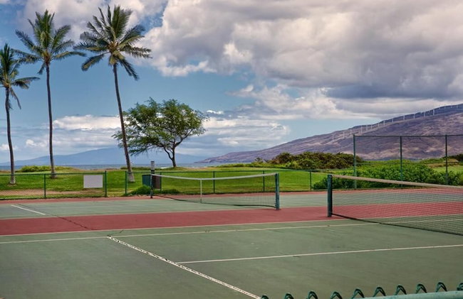 Calming Coastal Vistas - Photo 45