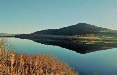 Shifty Chicken Shack - Foto 16