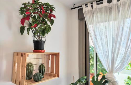 Manuela Nogales Apartments! - Photo 13