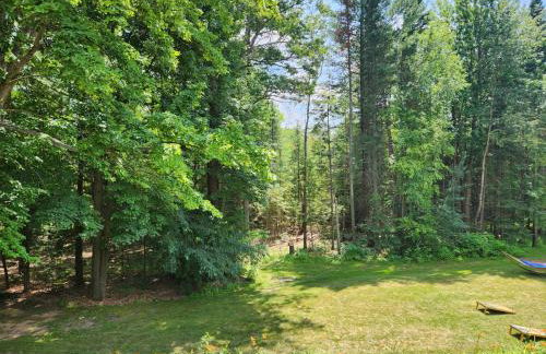 Springbrook Inn- Springbrook - Foto 8