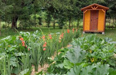Noclegi Majowy Zakątek - Foto 22