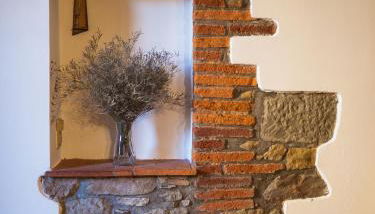 Aramo Verde - Foto 3