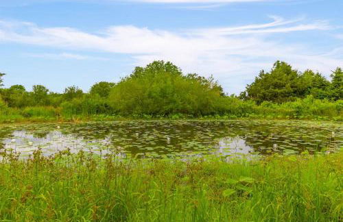 Lily Cove Retreat - Foto 77