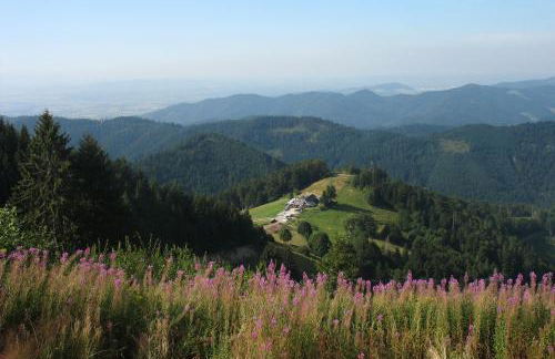 Ferienwohnung 'auf dem Burstel' - Foto 31