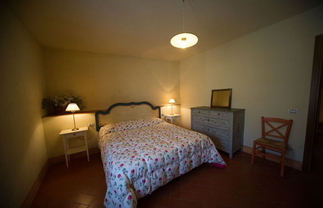 azienda agricola lo zolfino - Foto 21