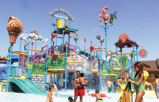 Palm Island in Bus - Tour di giornata completa - Foto 1