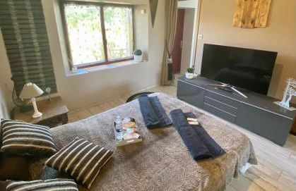 Gîte entièrement rénové Bord de Sèvre - Photo 14