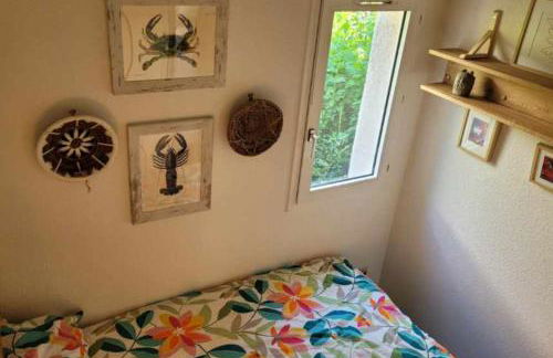 House 2p with swimming pool in La Grande-Motte - Foto 15