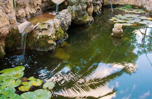 Alojamiento Rural el Azamur - Foto 63