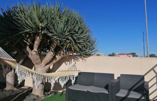 O DRAGOEIRO da Madalena! - Foto 41