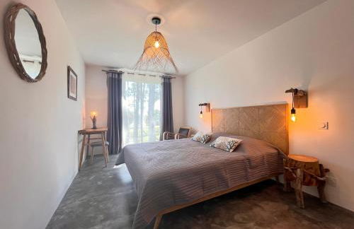 Domaine de Pianiccia - Foto 61