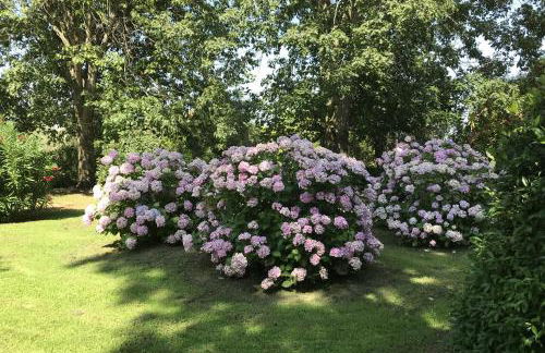 Appartamenti La Cicadea - Foto 20