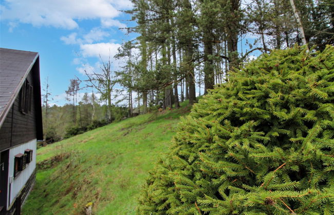Kyjov u Krásné Lípy - Foto 24