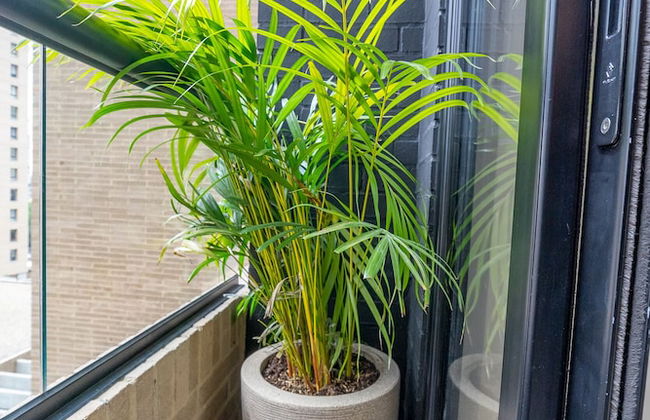 Astounding Tekto Wynwood House - Foto 45