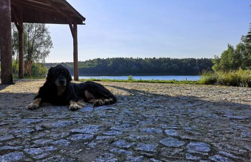 Agroturystyka Wilczyn Cegielnia - Foto 7