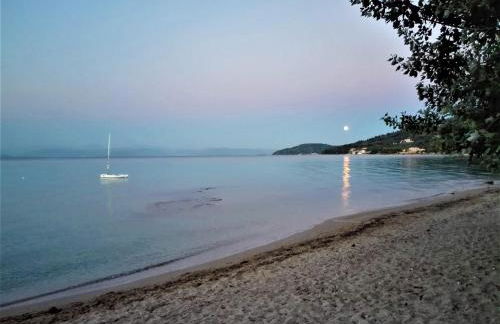 Dinos Green Place - Photo 40