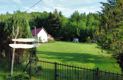 Mogielicki Zakątek - Photo 20