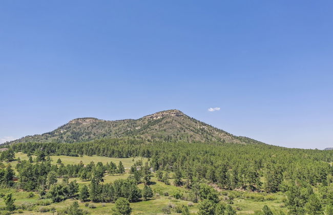 Tree Eagles Nest - Foto 42