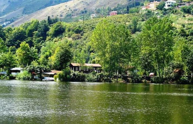 Lahza Residence - Photo 23