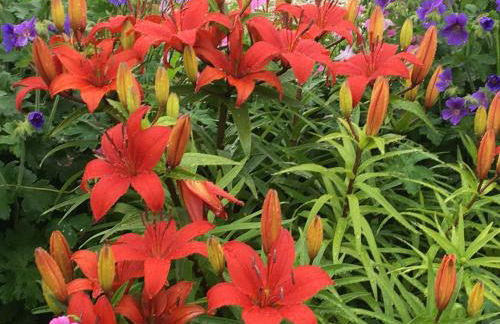 40 Bernisdale - The Sabhal - Foto 24