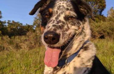 Pacific Coast Hwy Bunkhouse in San Luis Obispo - Foto 19