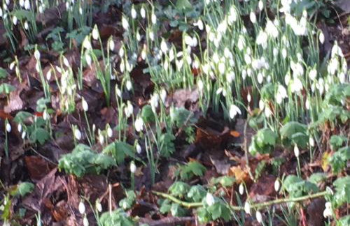 Crug Glas Country House - Foto 62