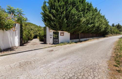 Quinta O Refúgio - Foto 31