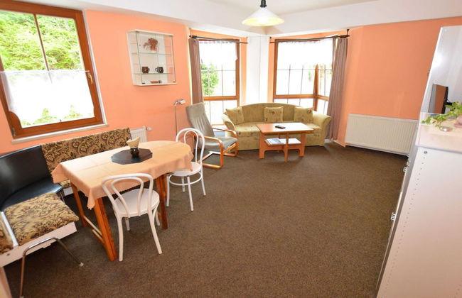 Snug Apartment in Jachymov near Ski Area - Photo 6