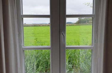 Hyggelig am Deich - Photo 21