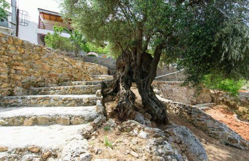 Ortaki Traditional House - Foto 26