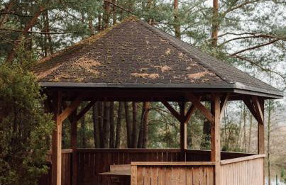 W Południe Lata - Foto 14